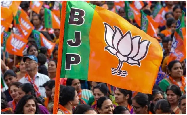 BJP : బీజేపీ జాతీయ అధ్యక్షుడు జేపీ నడ్డాను మార్చనున్న పార్టీ అధినేతలు