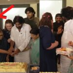 Mega Family Celebrations : మెగా ఫ్యామిలీ సంబరాలు…